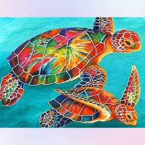 Colorful Turtle
